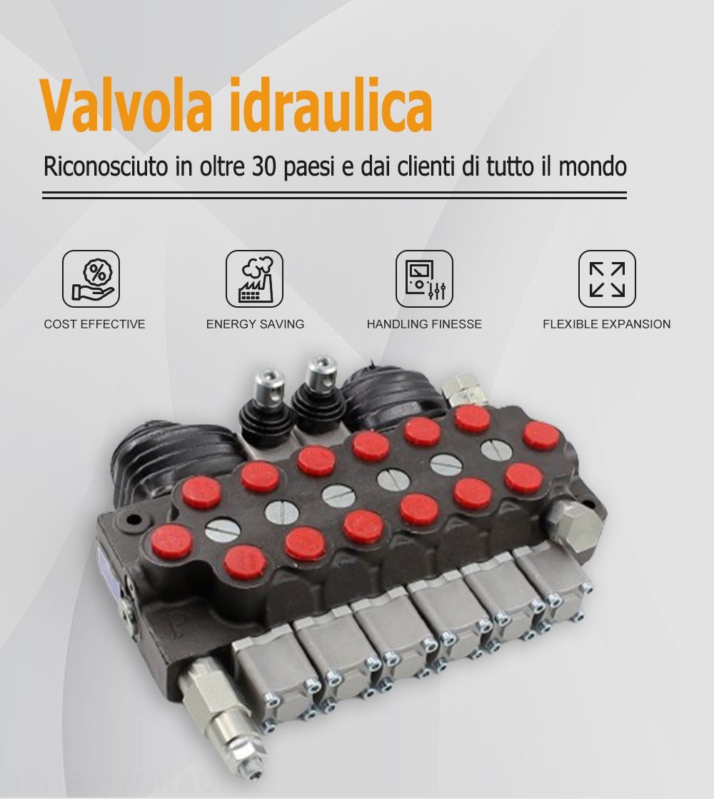 TR55 Manuale e joystick 6 Spool Valvola direzionale monoblocco